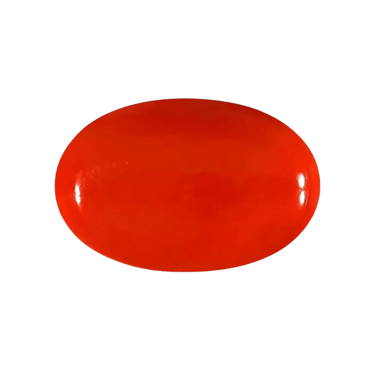 https://saketbhatia.com/wp-content/uploads/2023/06/red-coral.png